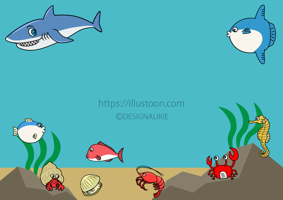 Frontera de ballenas y delfines