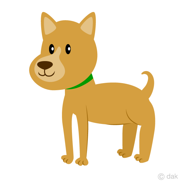 Brown Dog