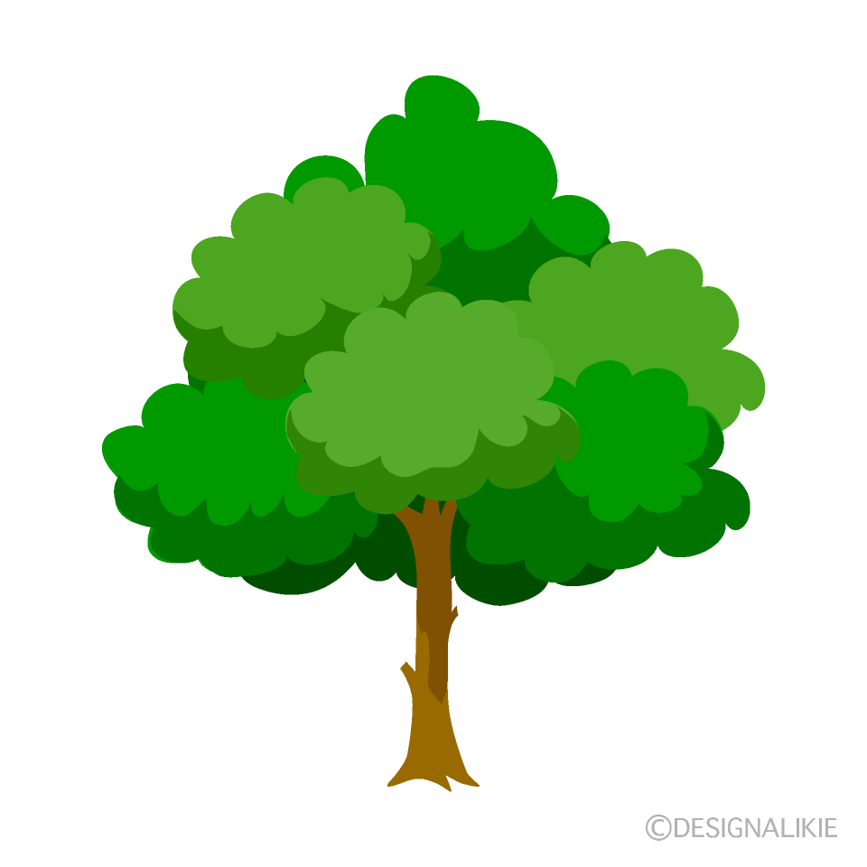 Árbol