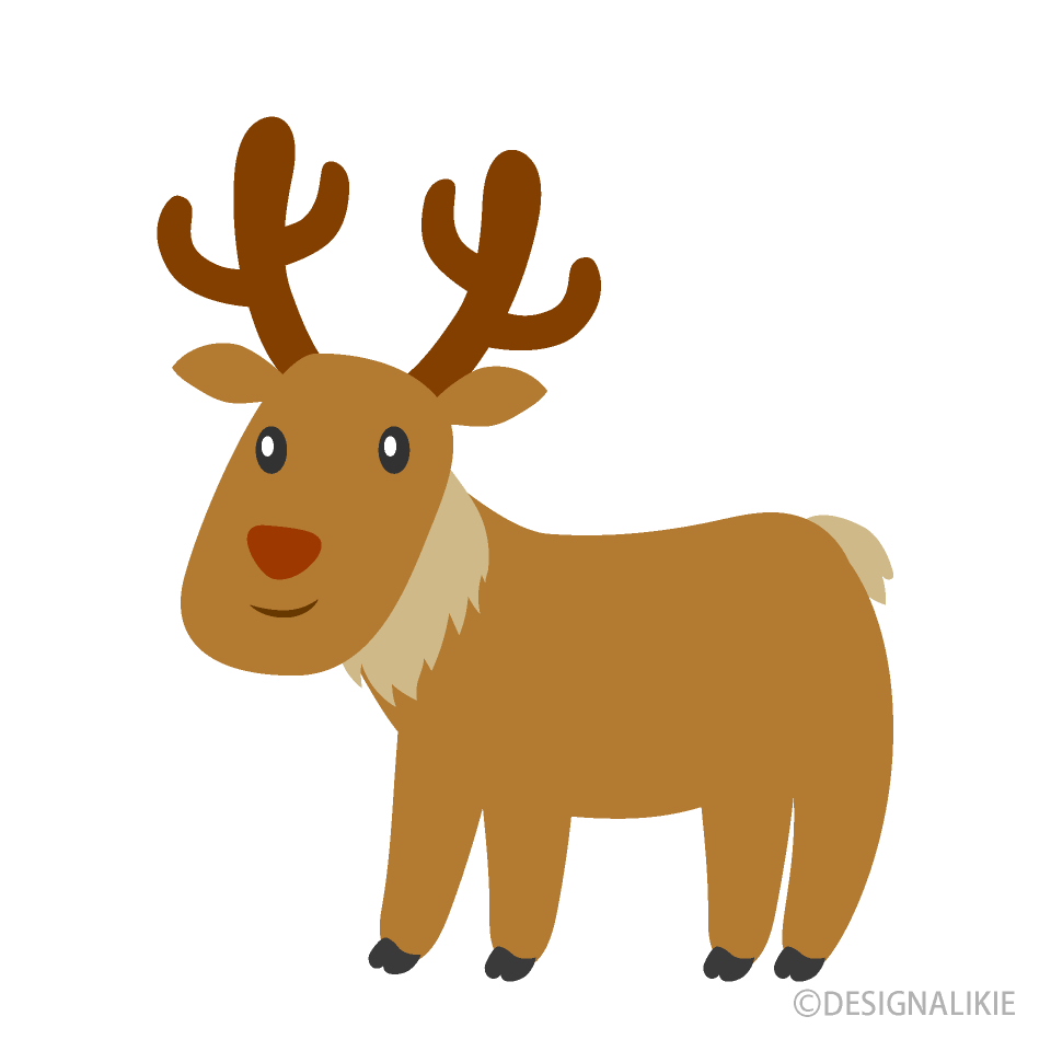 Cute Reindeer