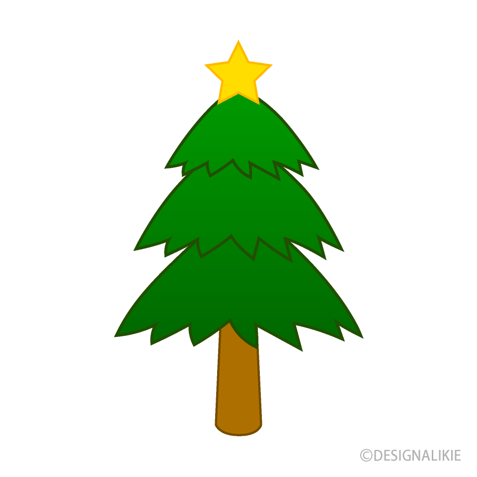 Christmas Tree with No Decorations