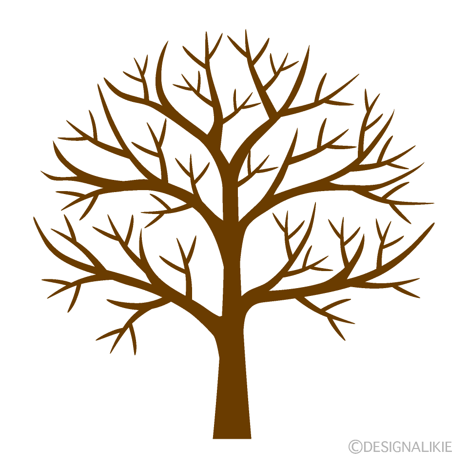 Árbol sin hojas