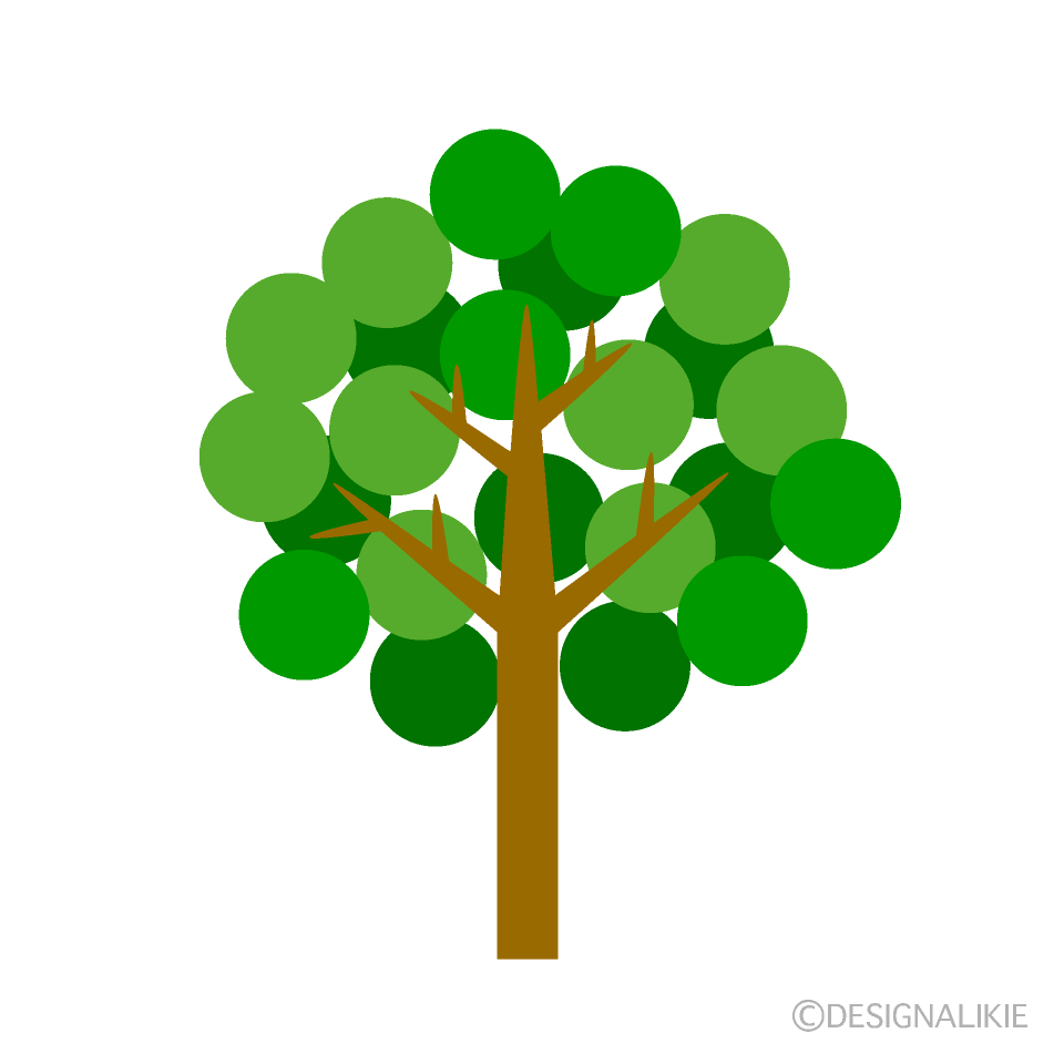 Árbol de hoja redonda
