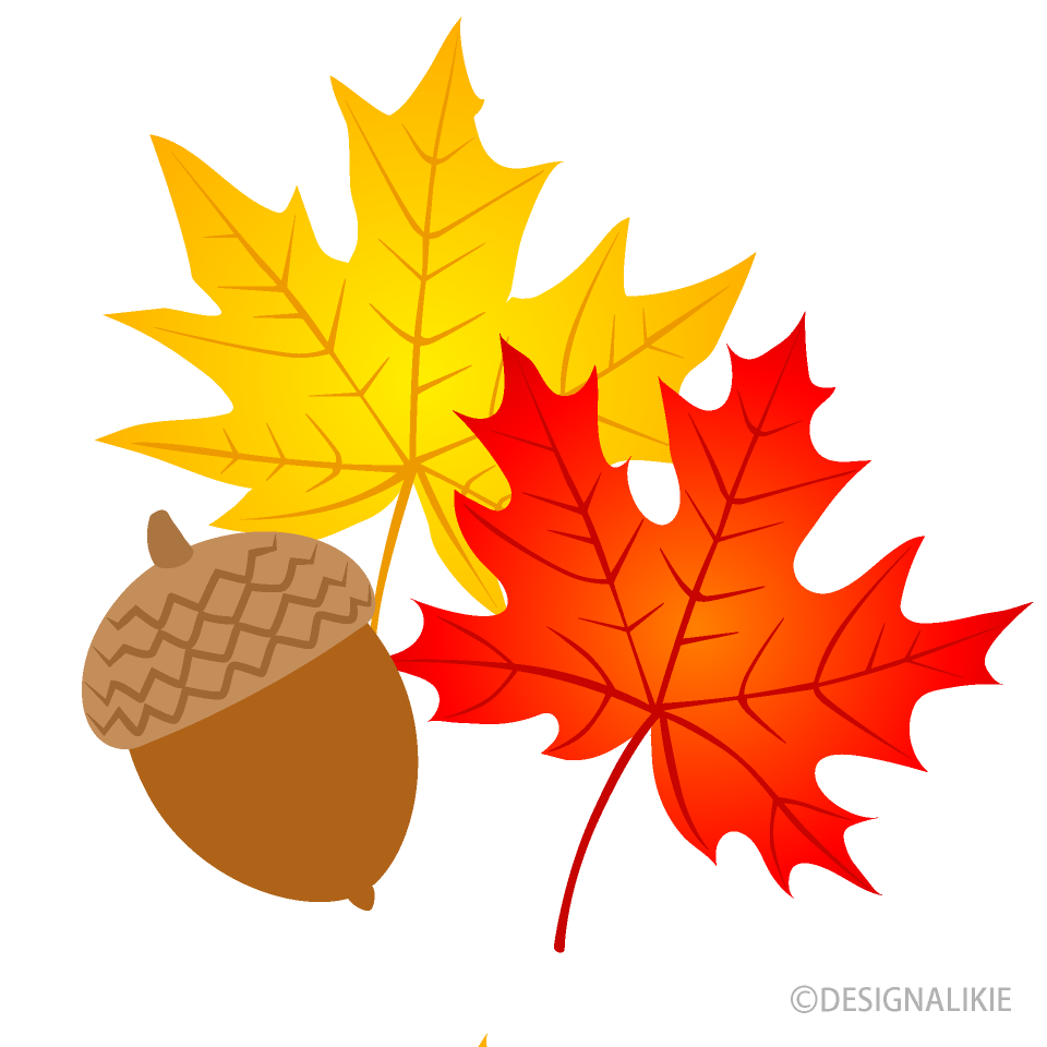 Maple Leaves and Acorn