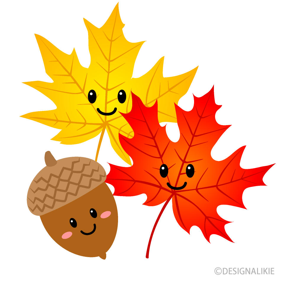 Cute Acorn and Maple