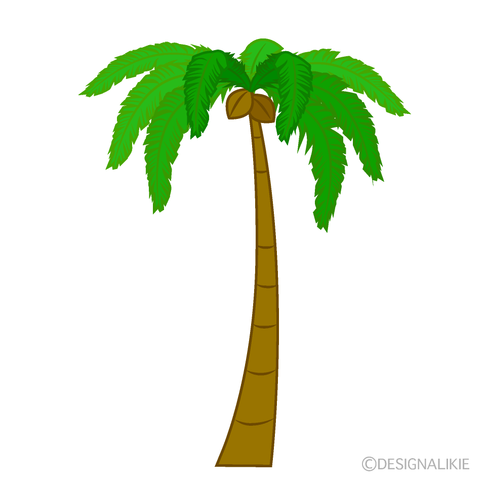 Palm Tree