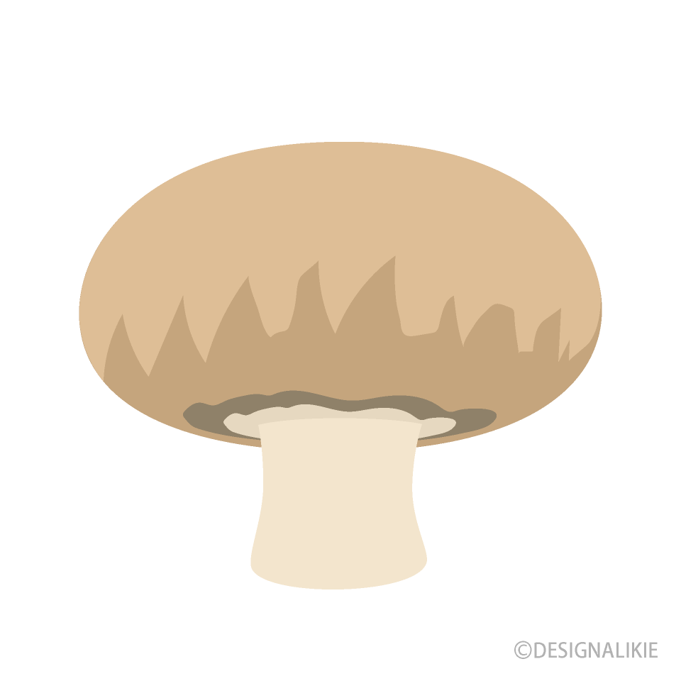 Edible Mushroom