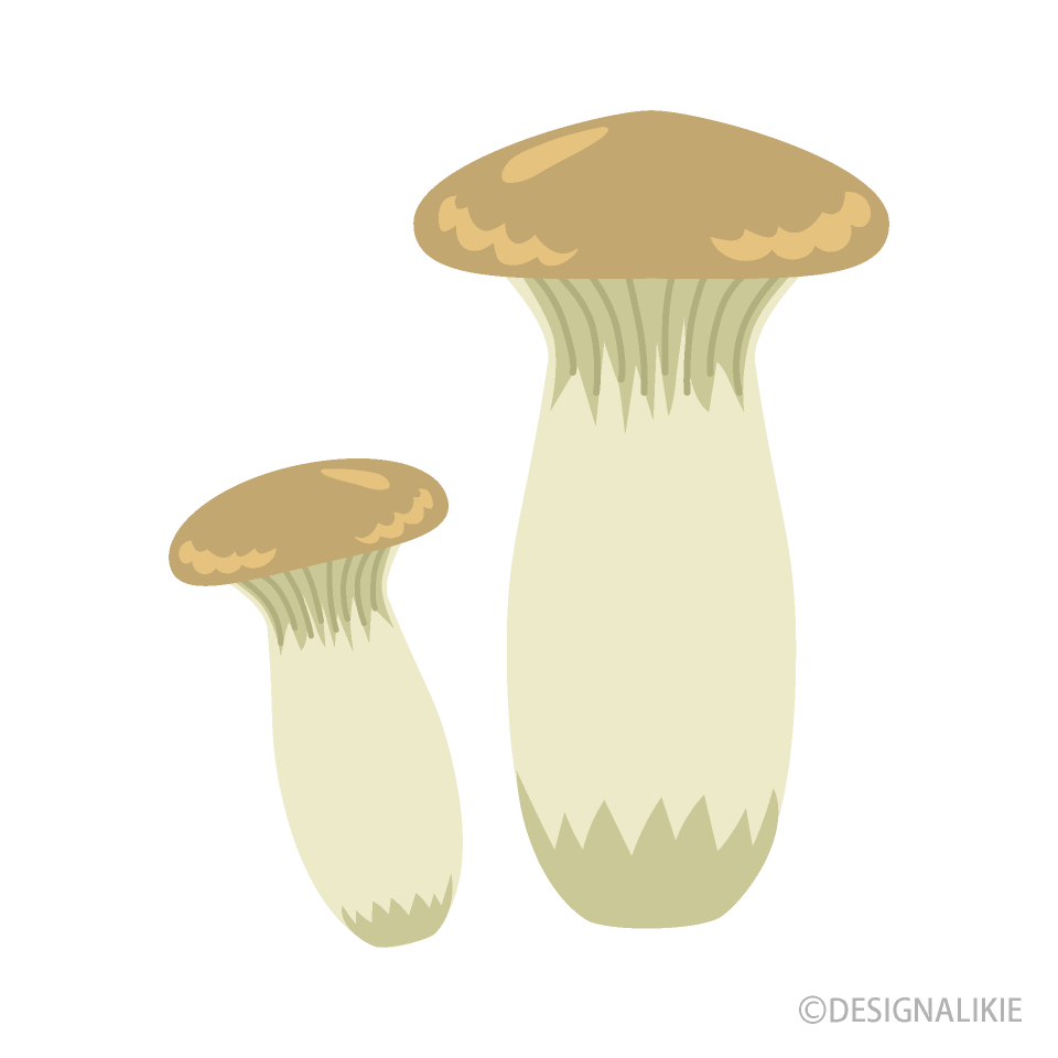 Pleurotus Eryngii 