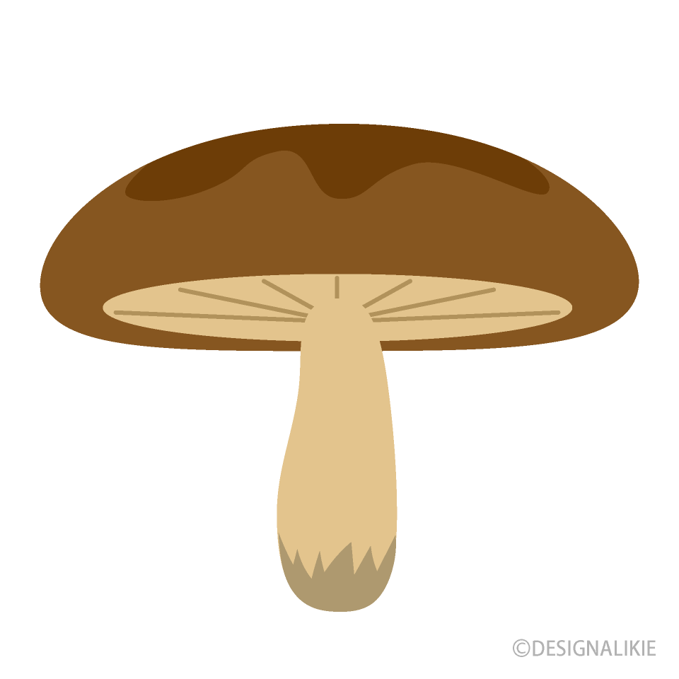 Shiitake Mushroom