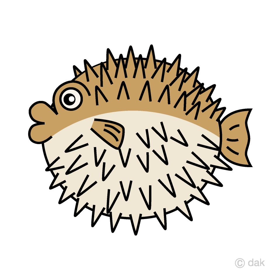 Porcupine Fish