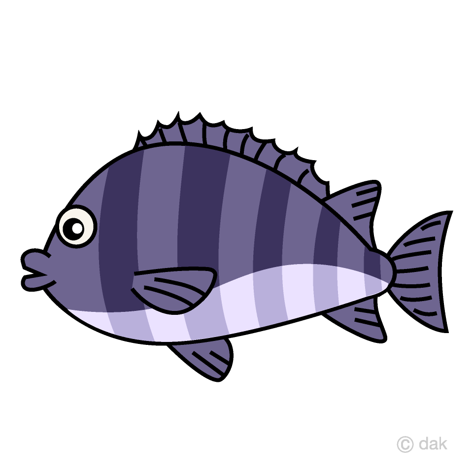 Sea Bream