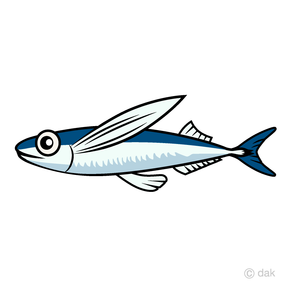 Flying Fish