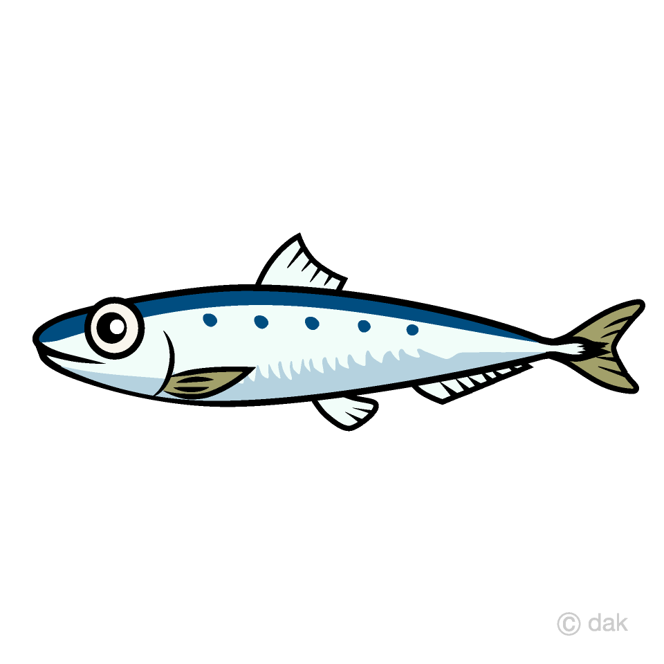 Sardine