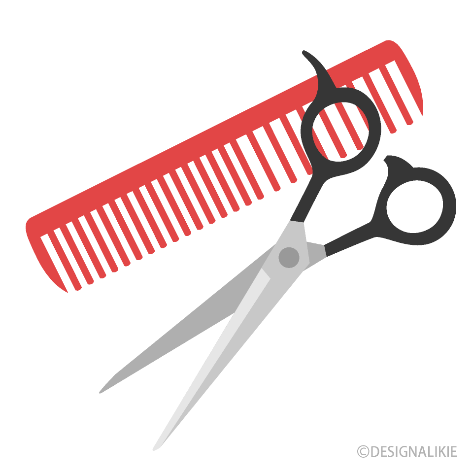 Hairdressing Scissors and Comb