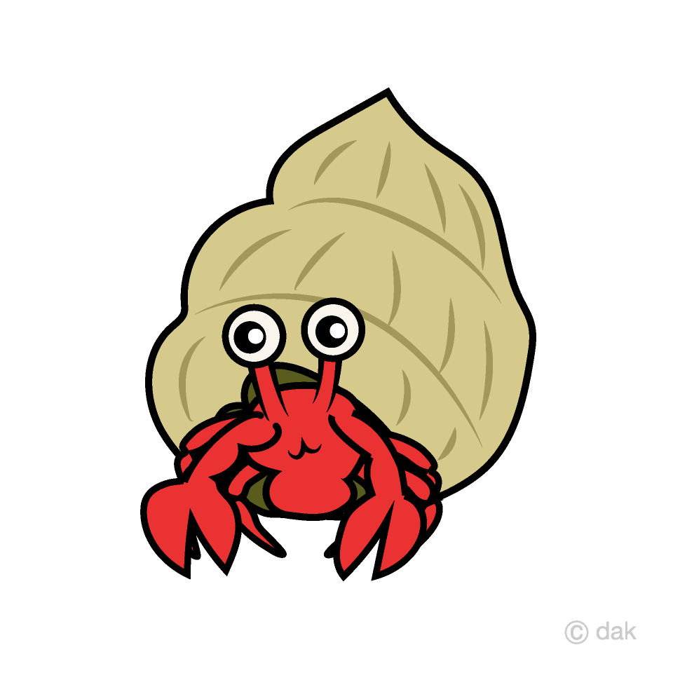 Hermit crab