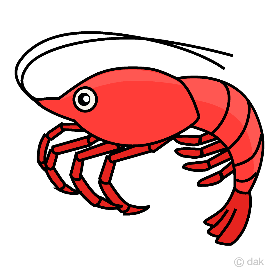 Shrimp
