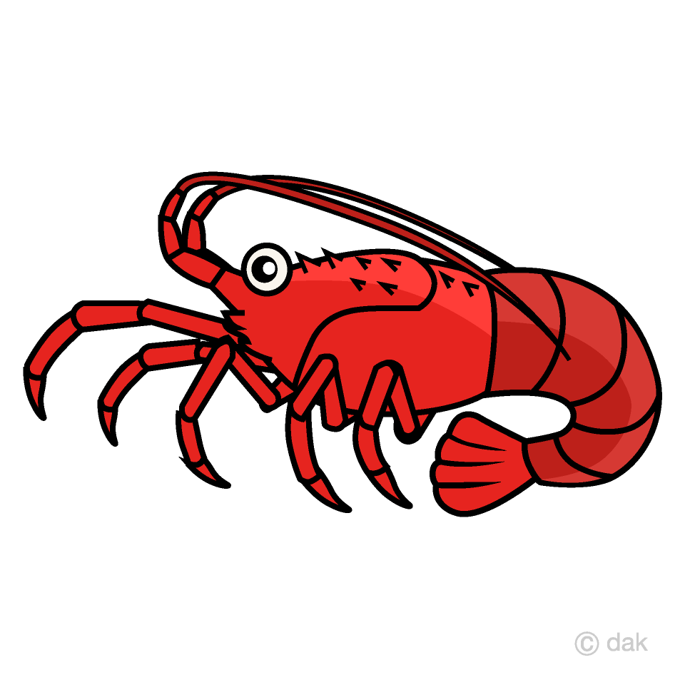 Spiny Lobster