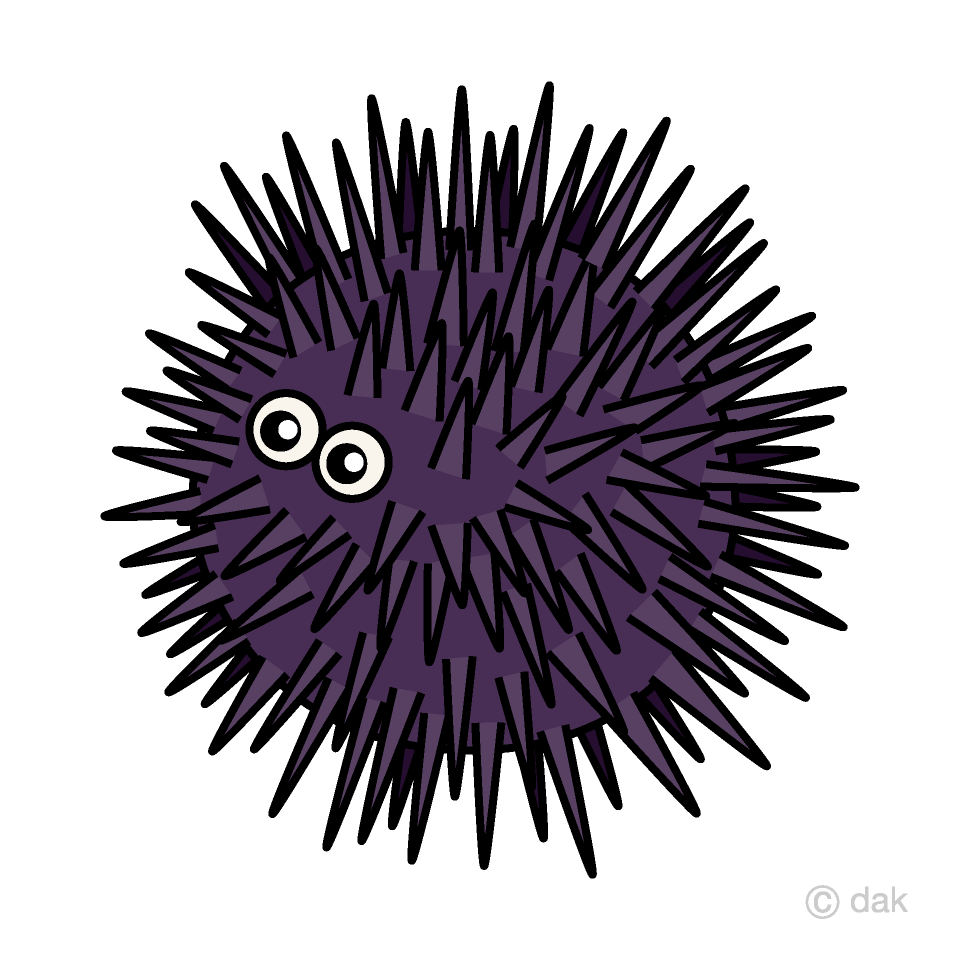 Sea Urchin 