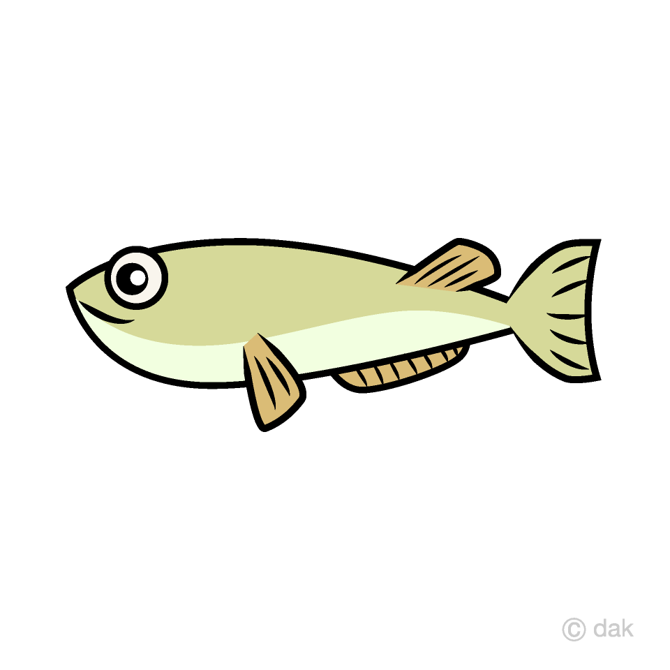 Small Fish