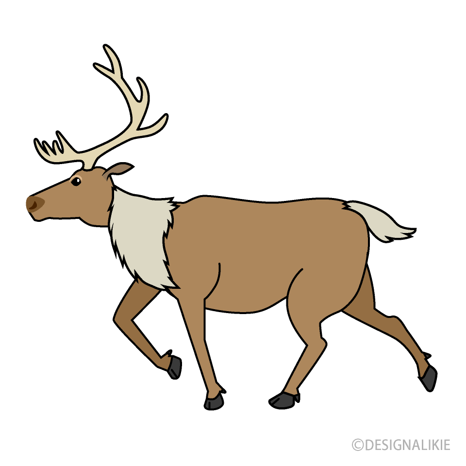 Running Reindeer