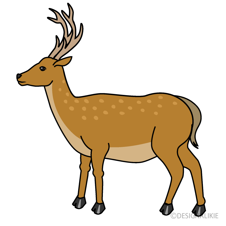 Deer from Side