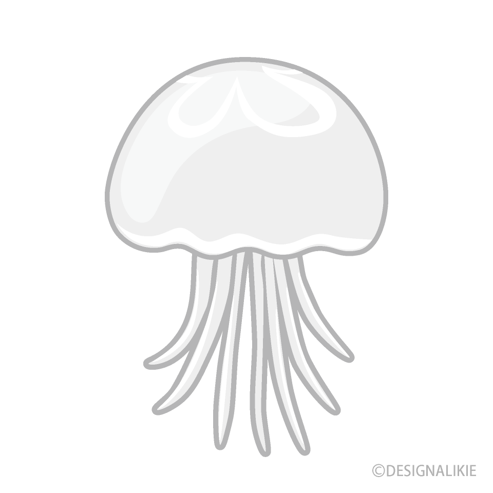 White Jellyfish