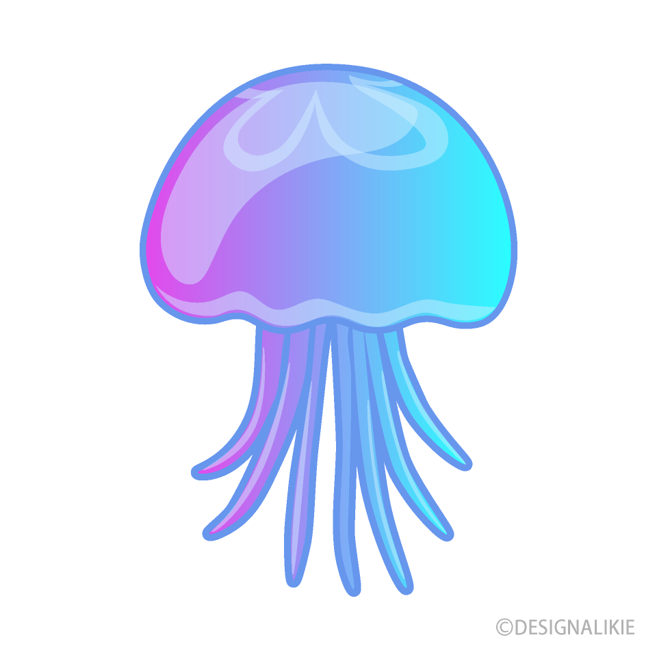 Beautiful Jellyfish