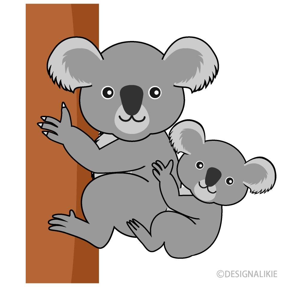 Koala Parent and Child