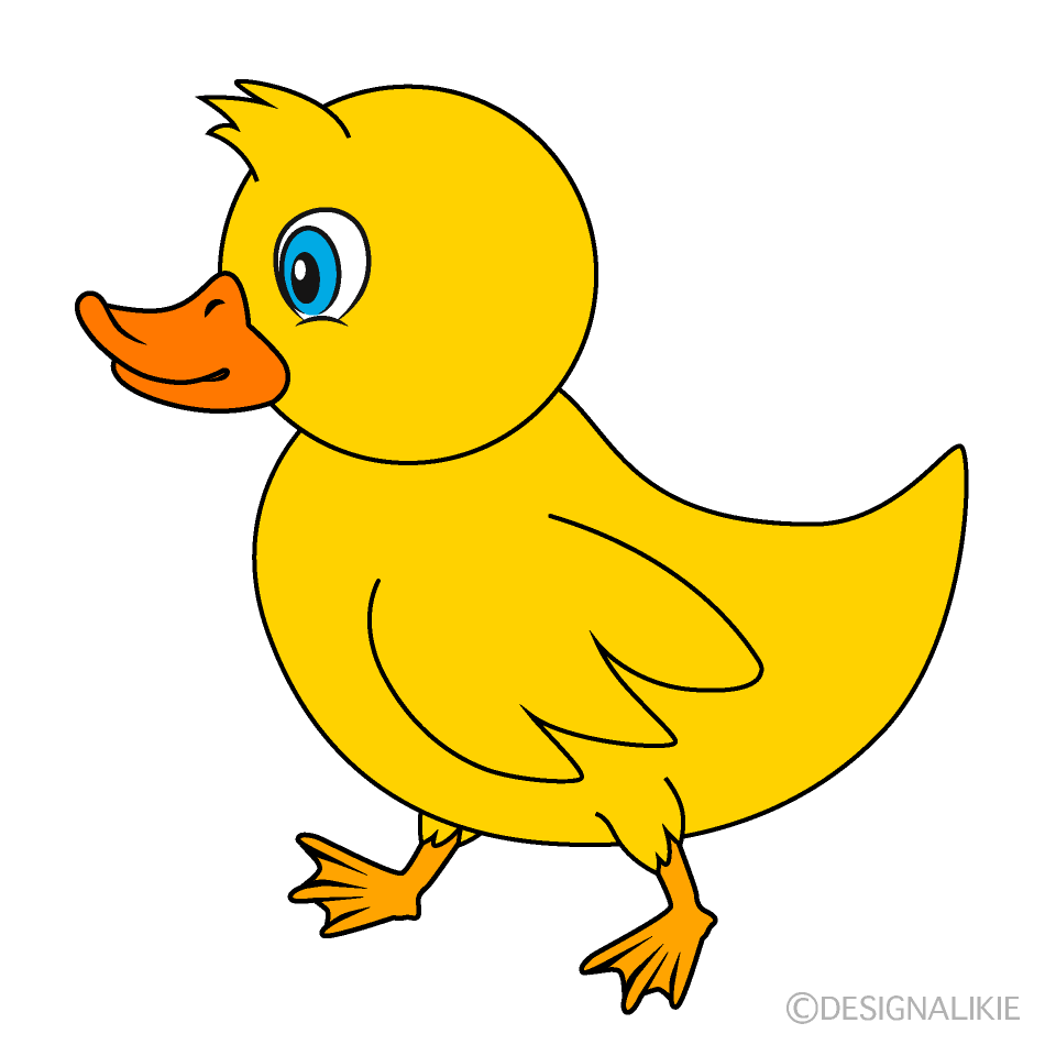 Walking Duck