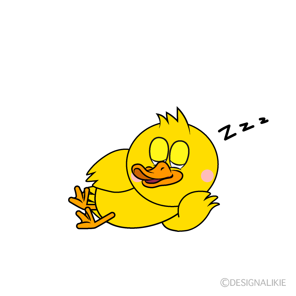 Sleeping Duck