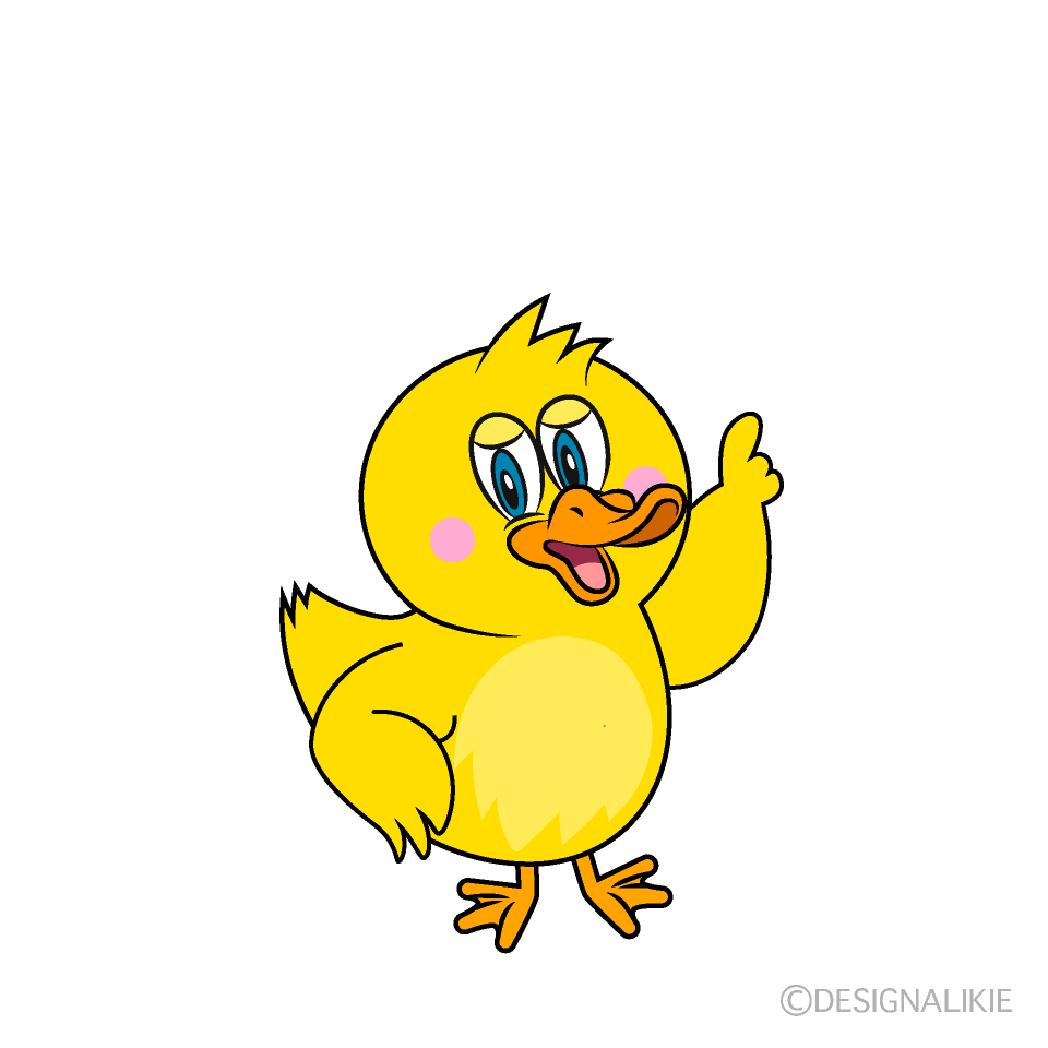 Pointing Duck