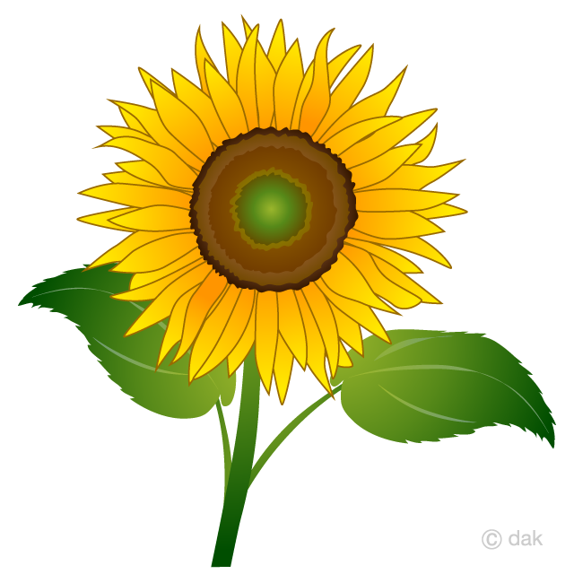 One Sunflower