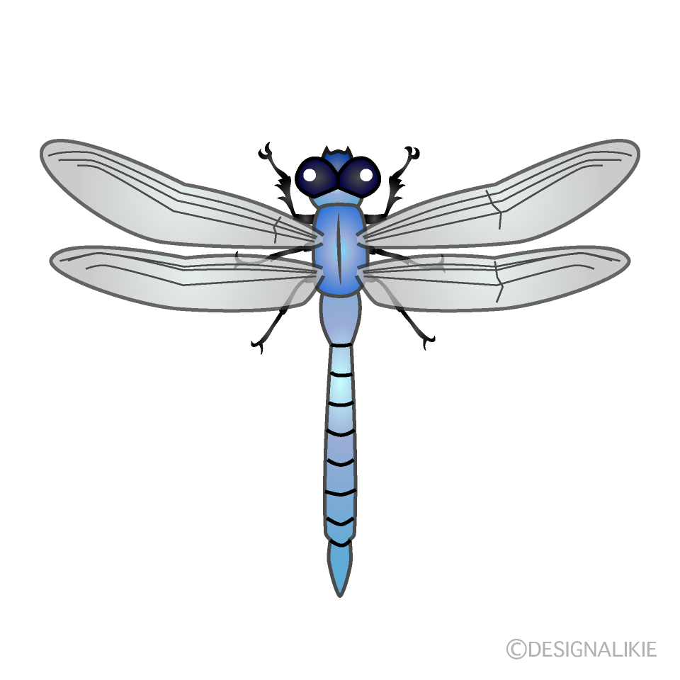 Blue Dragonfly