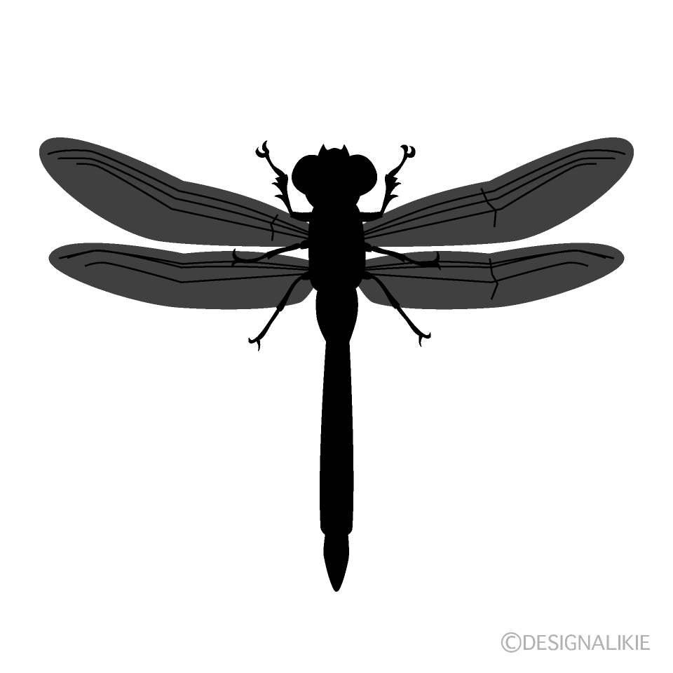 Dragonfly Silhouette