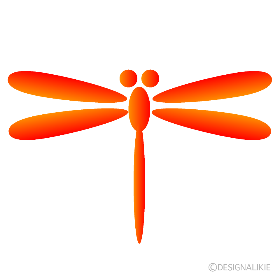 Orange Dragonfly