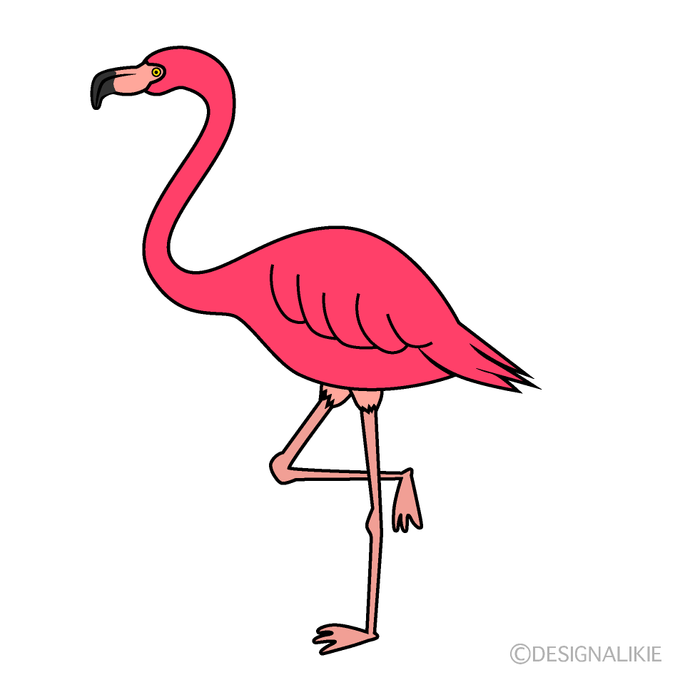 Pink Flamingo