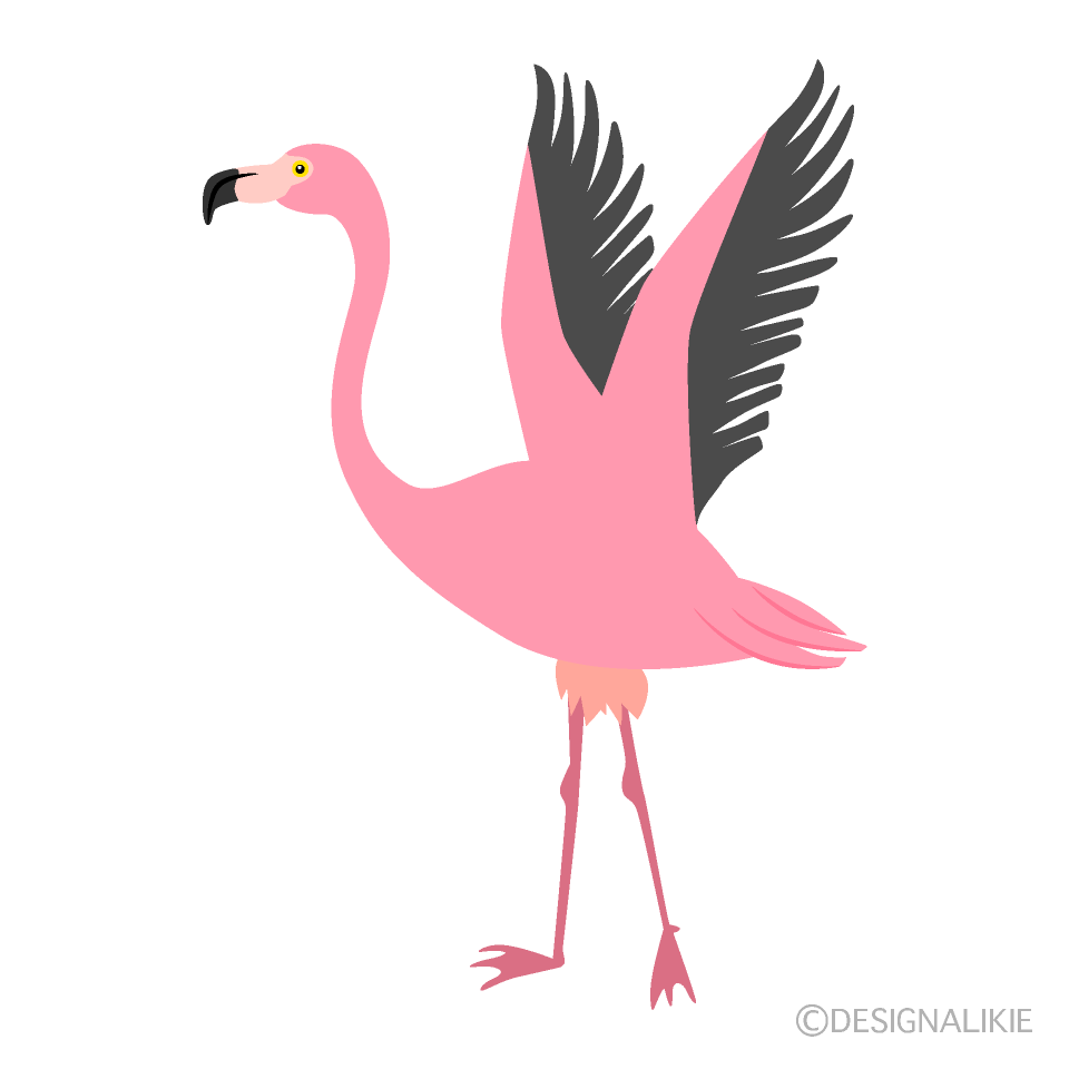 Flapping Flamingo