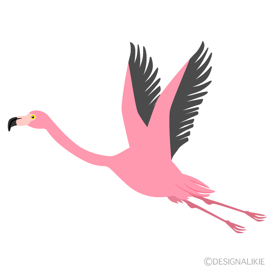 Flying Flamingo