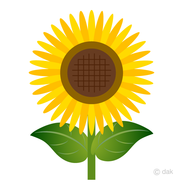 Sunflower designed Simply