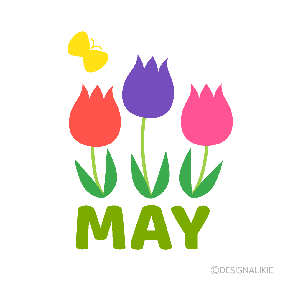 Tulips May