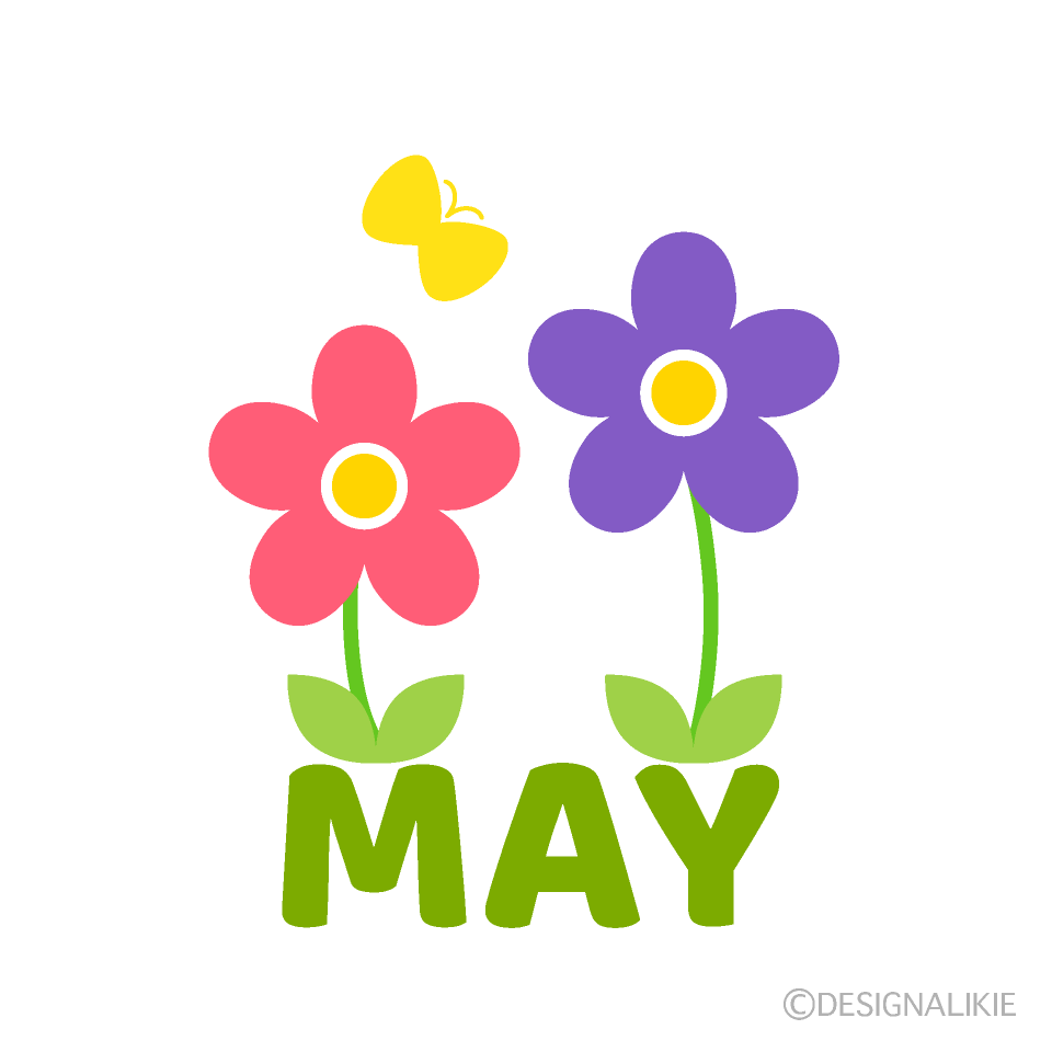 Flowers and Butterfly May