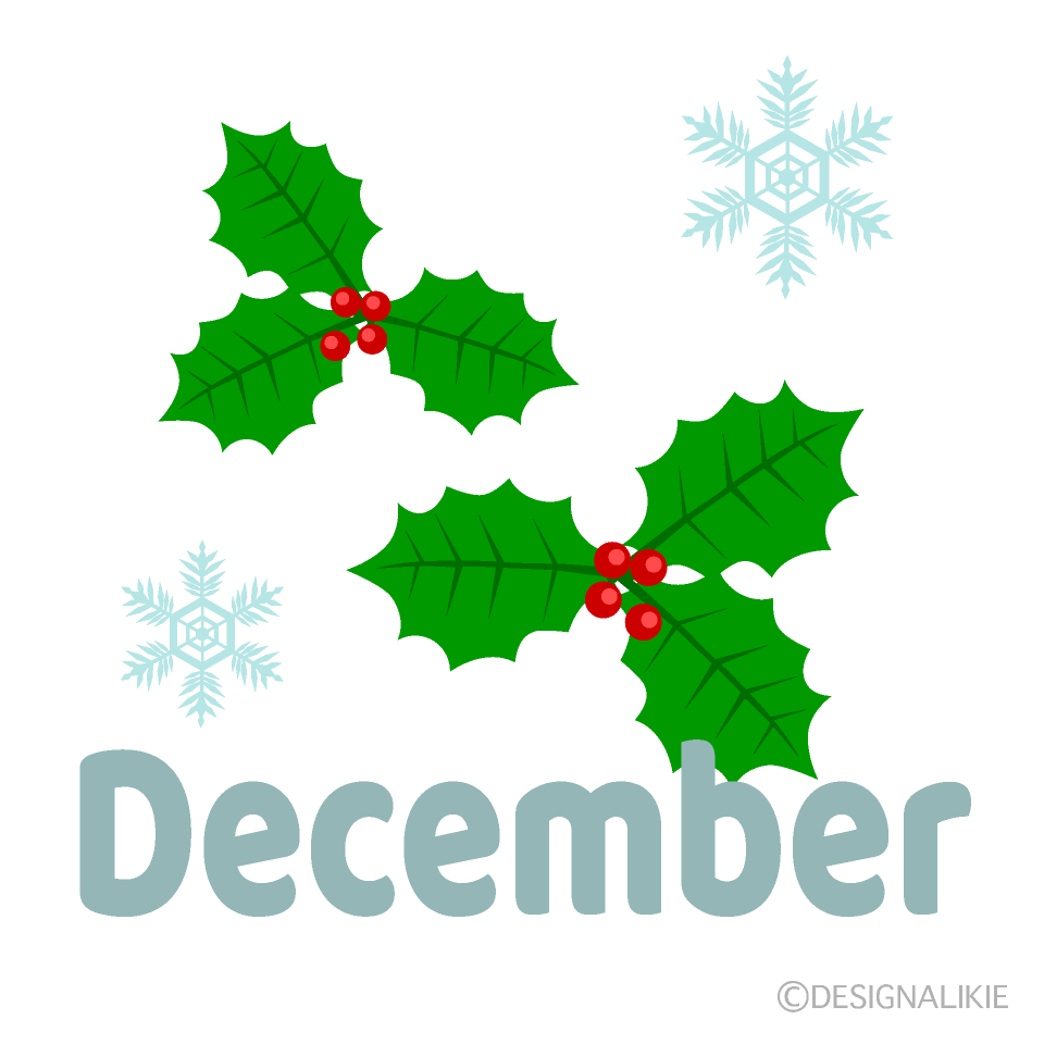 Snow and Holly Leaves December