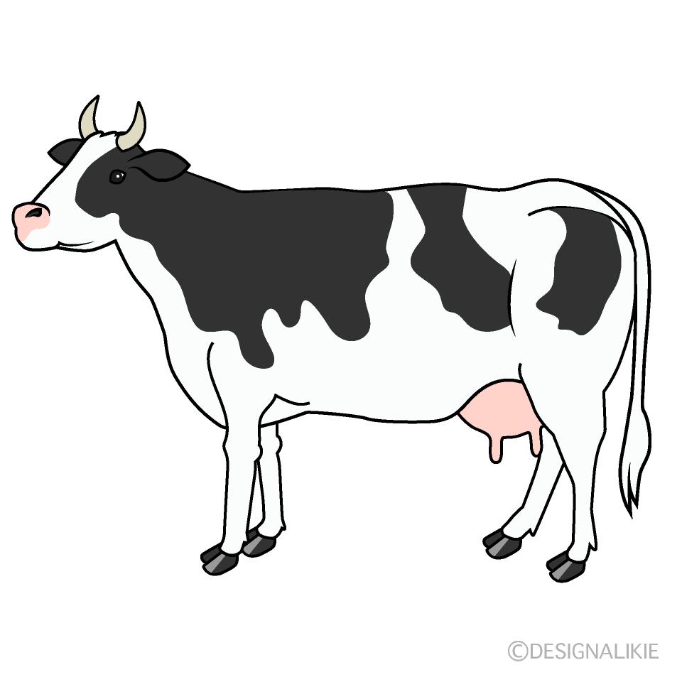 Milk Cow