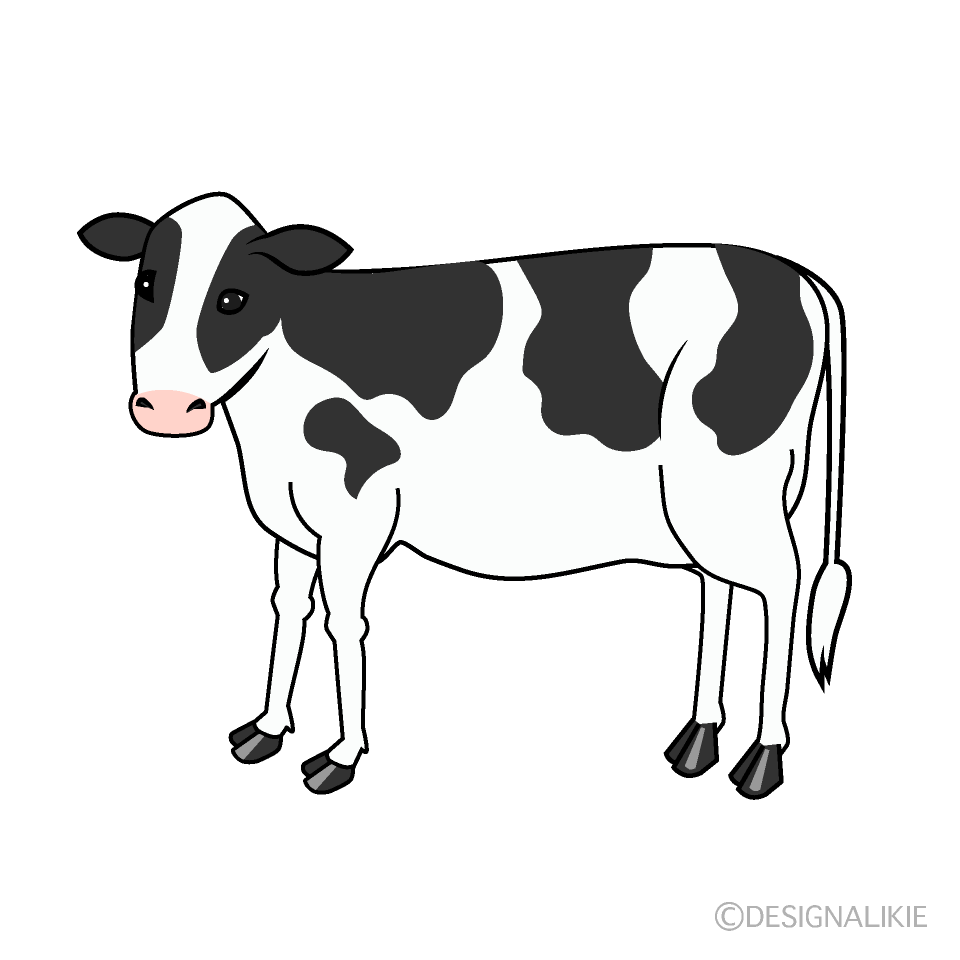 Calf