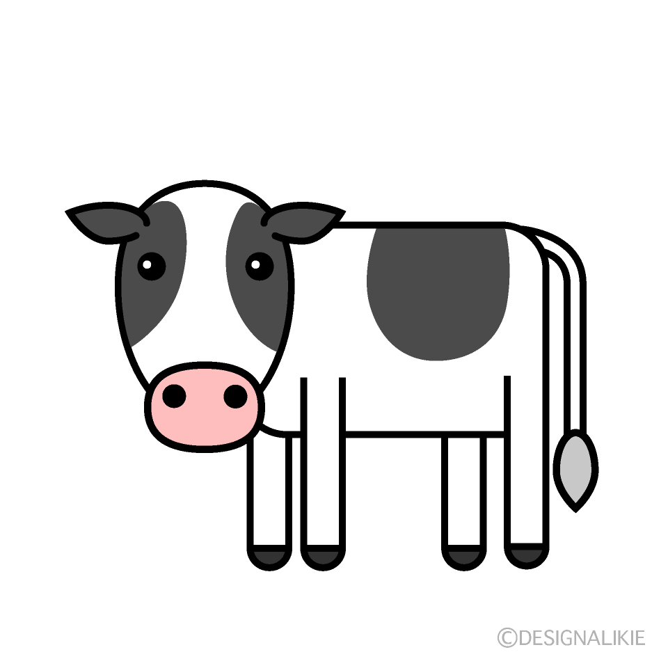 Cow with No Horns