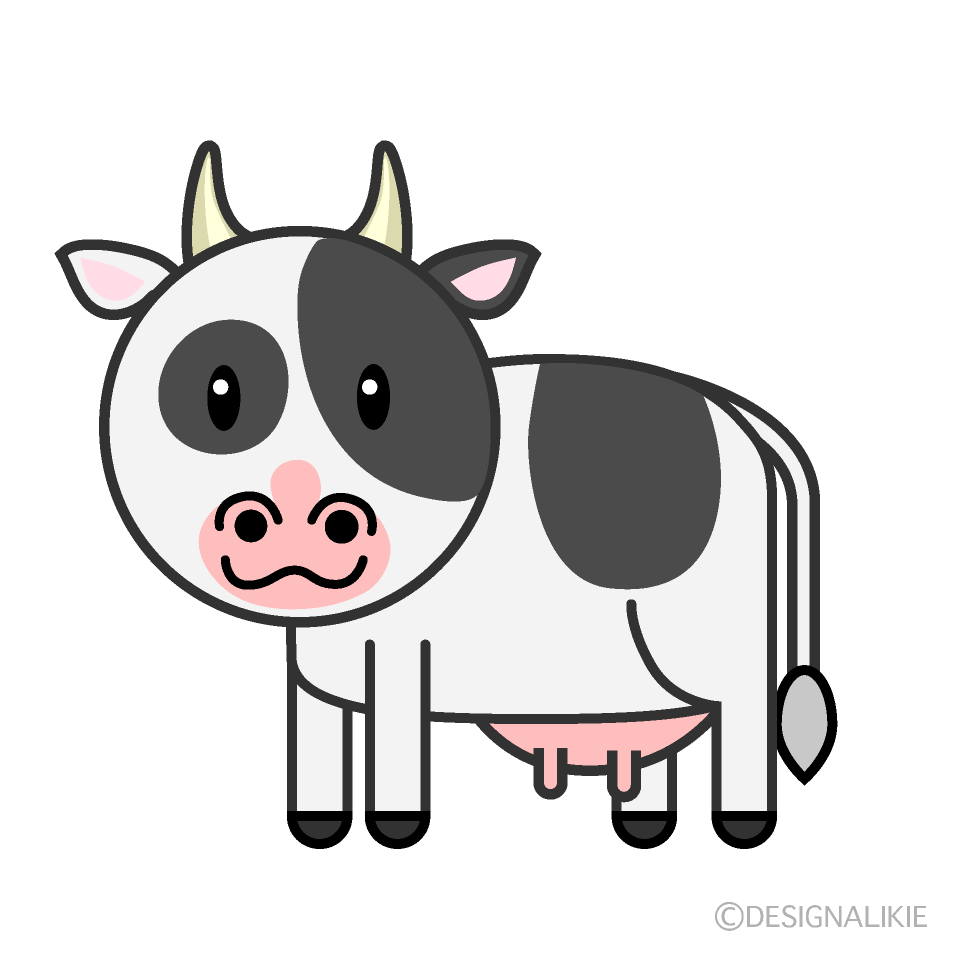 Cute Cow