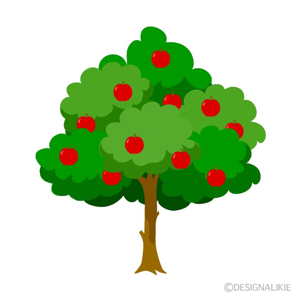 Apple Tree