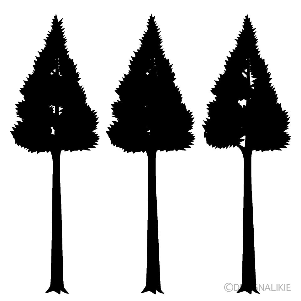 Tall Tree Silhouette