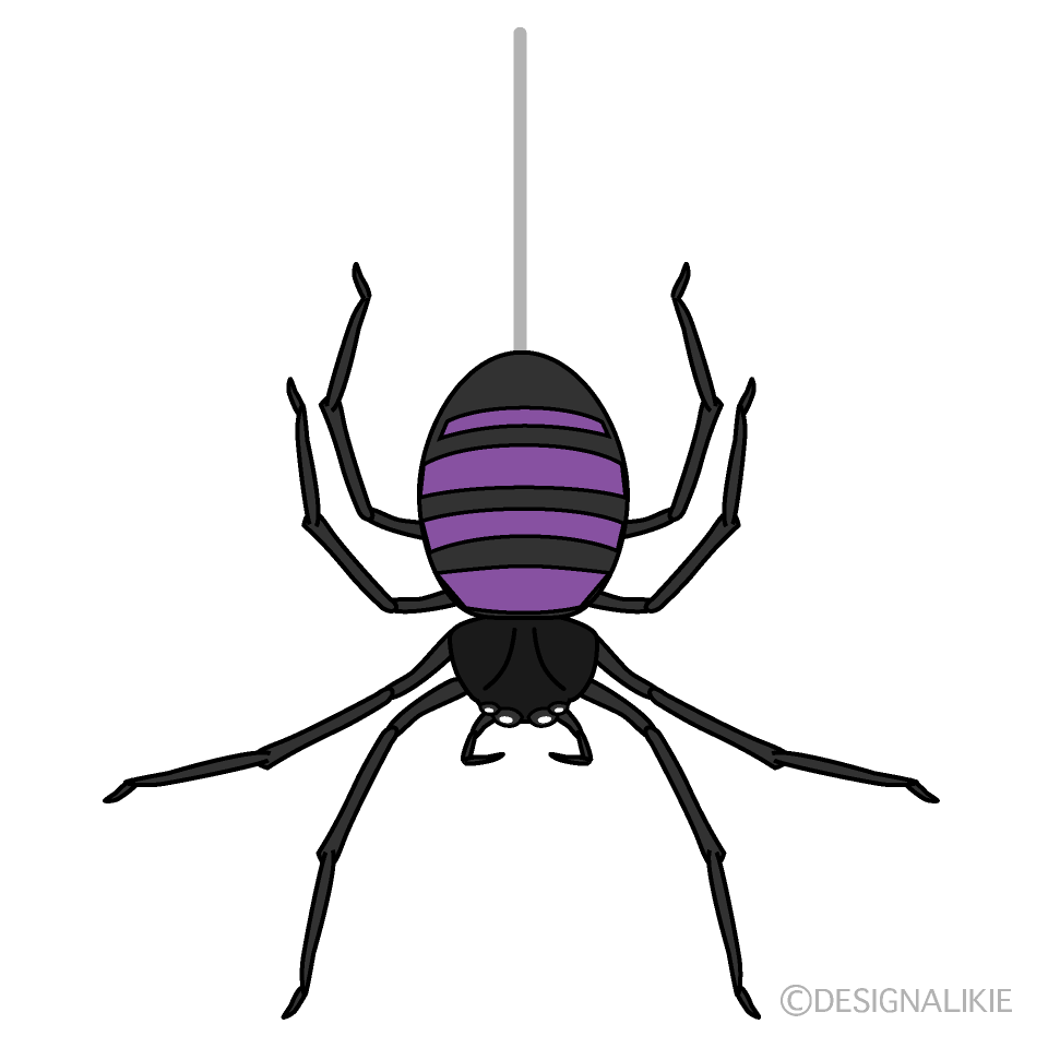 Purple Spider