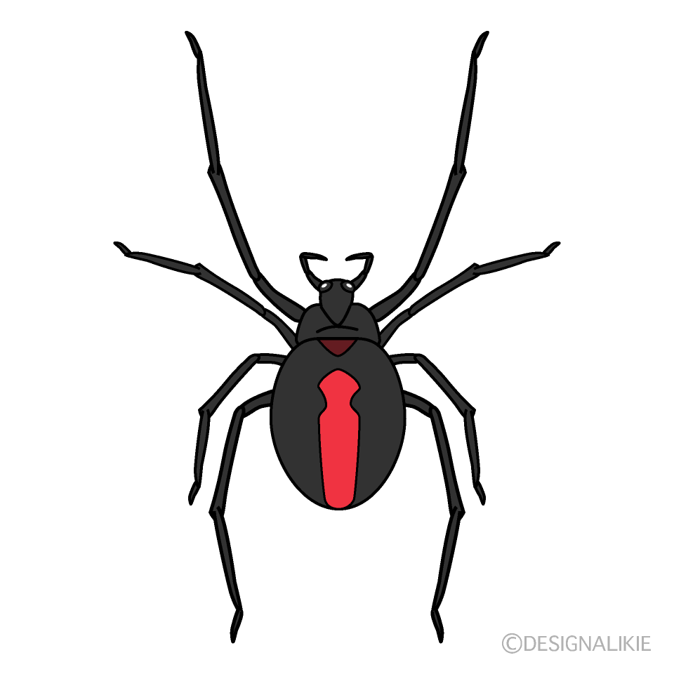 Poisonous Spider